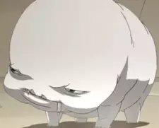 کاینکو